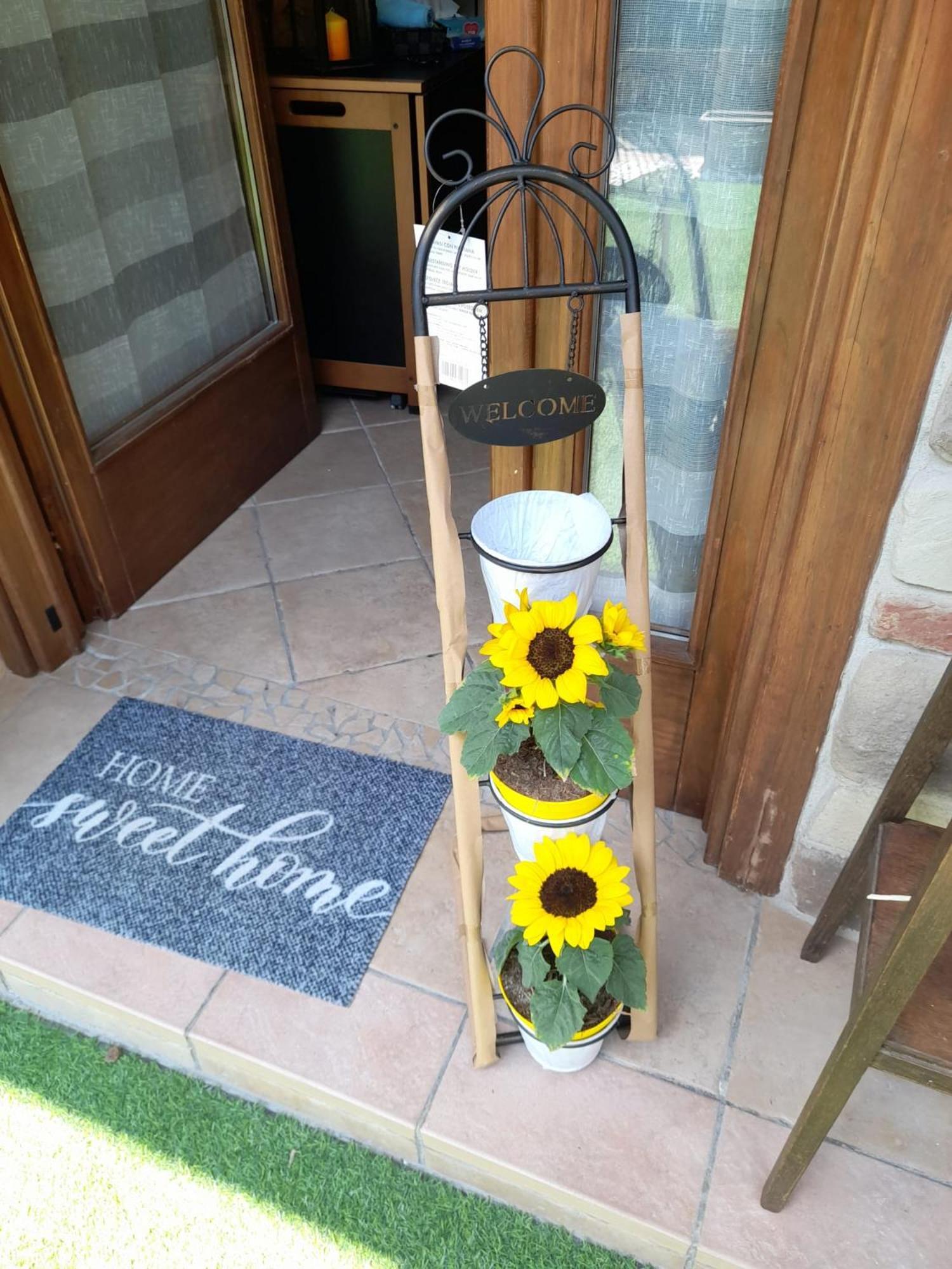 La Taverna Da Irene Роэ Экстерьер фото